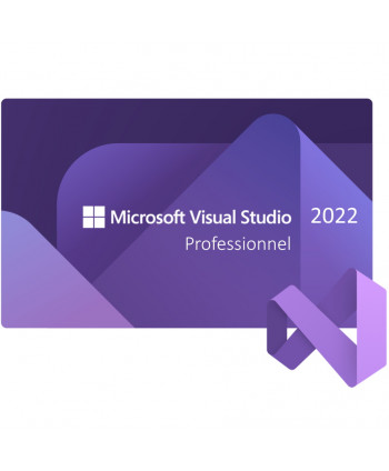 Visual Studio 2022 Professionnel Pro (Microsoft)