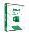Microsoft Excel 2024