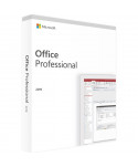 Office 2019 Professionnel (Microsoft) 