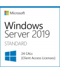 SQL Server 2019 Standard (24 CAL) (Microsoft) 