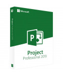 Project 2019 Professionnel (Microsoft) 