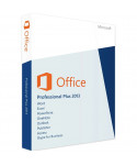 Office 2013 Professionnel Plus (Microsoft)