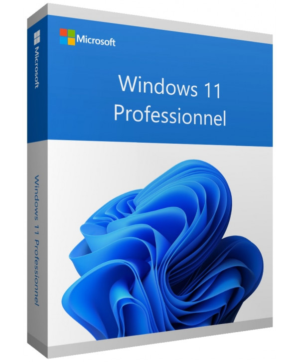 Microsoft Windows 11 Professionnel Professional Pro